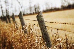 LMSW Exam: Practice Question