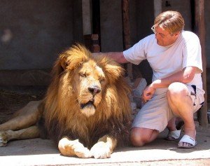 LCSW & MFT CV Exam Prep: Taming the Beast